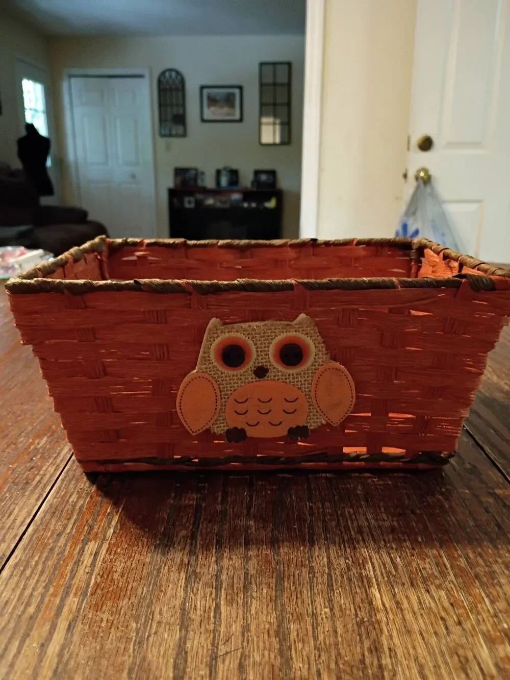Fall Owl Orange Woven Basket Tray Storage Bin Trinket Box Boho Autumn Decor 9x6